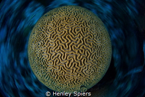 Let's go for a spin. by Henley Spiers 